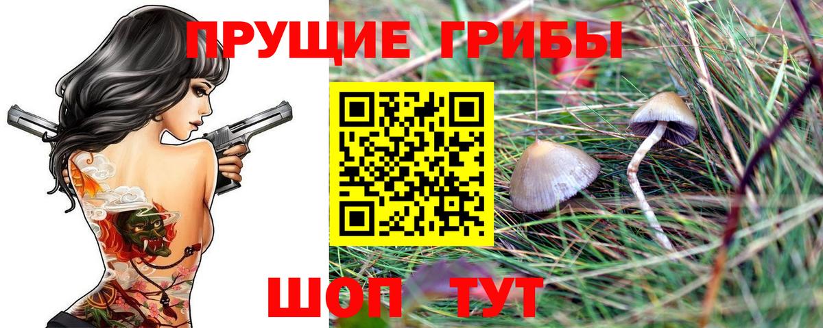 Псилоцибиновые грибы ЛСД Вологда